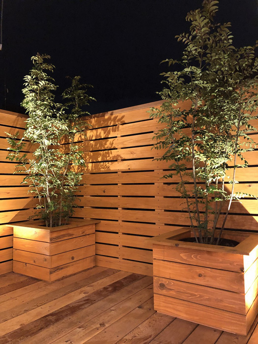 植樹と暮らす ー鉢植えと庭植えー 滋賀で注文住宅なら工務店のikkaダイコーホーム