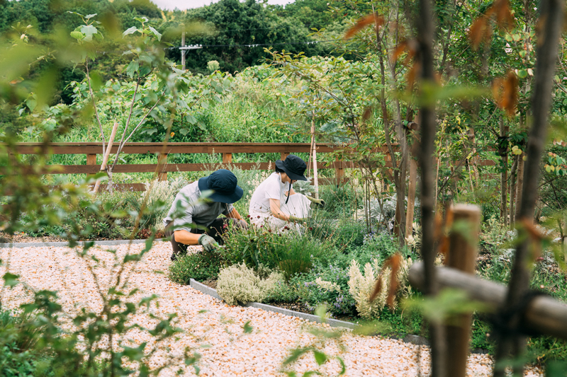 滋賀県の平屋でハーブの手入れをするご夫婦