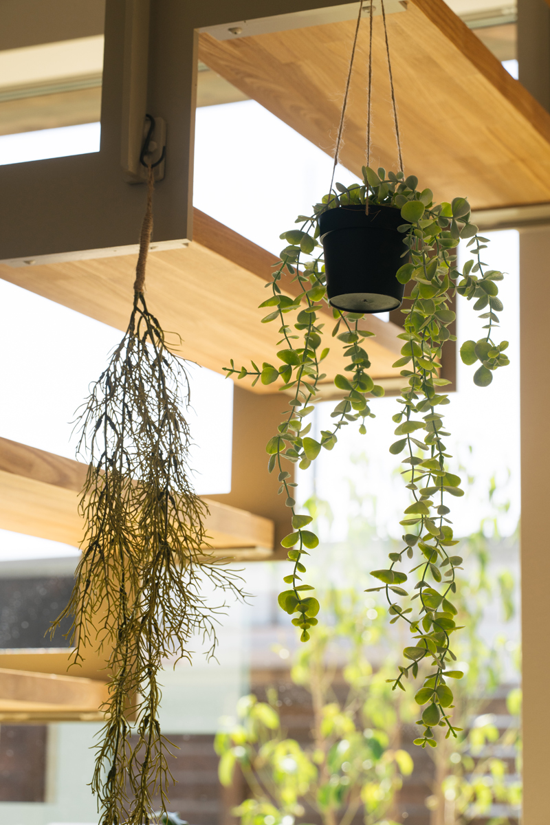 滋賀県の完成見学会のお家のオープン階段のイメージ