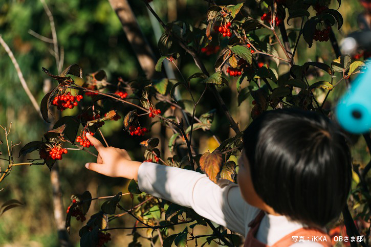 滋賀県大津市の完成見学会のお家の中庭で遊ぶ子供