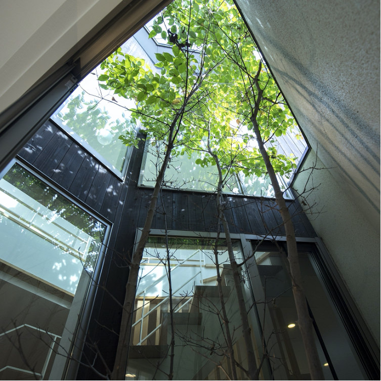 滋賀で自然素材の家なら工務店のiKKAダイコーホームの風をつくるイメージ