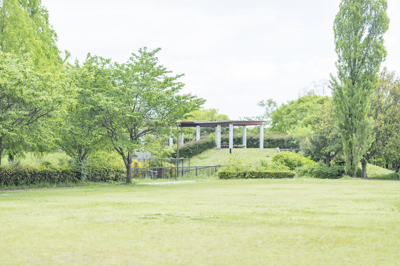 犬の散歩に最適な公園が多い滋賀県