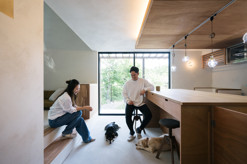 A couple relaxing in a bright, modern kitchen with two dogs on the floor by a large window in back.