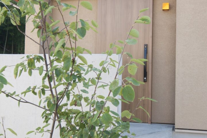 滋賀県大津市の注文住宅のシンボルツリーのあるアプローチ