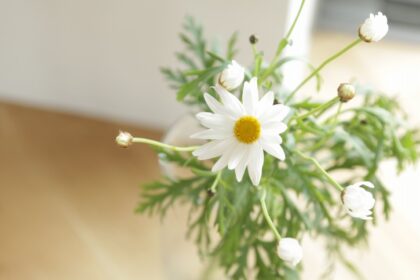 滋賀の注文住宅のお家で春のお花を飾る方法
