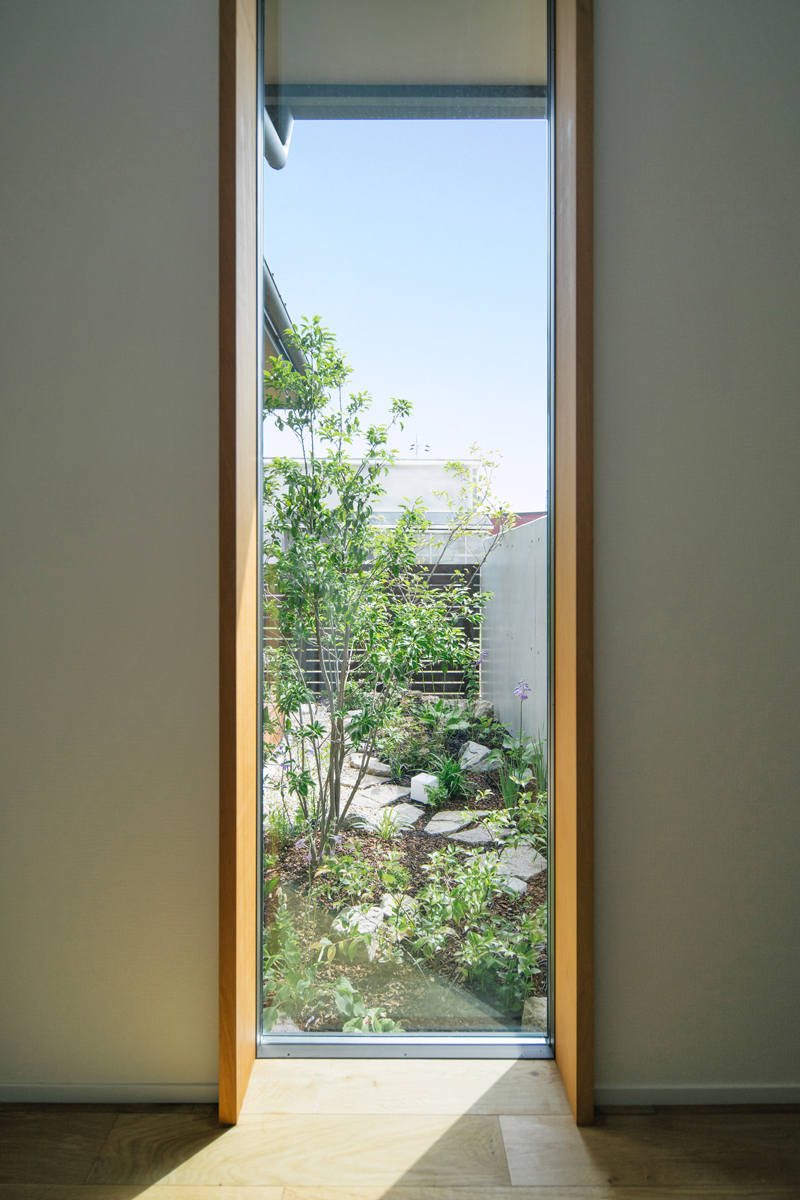 庭木を眺める窓
