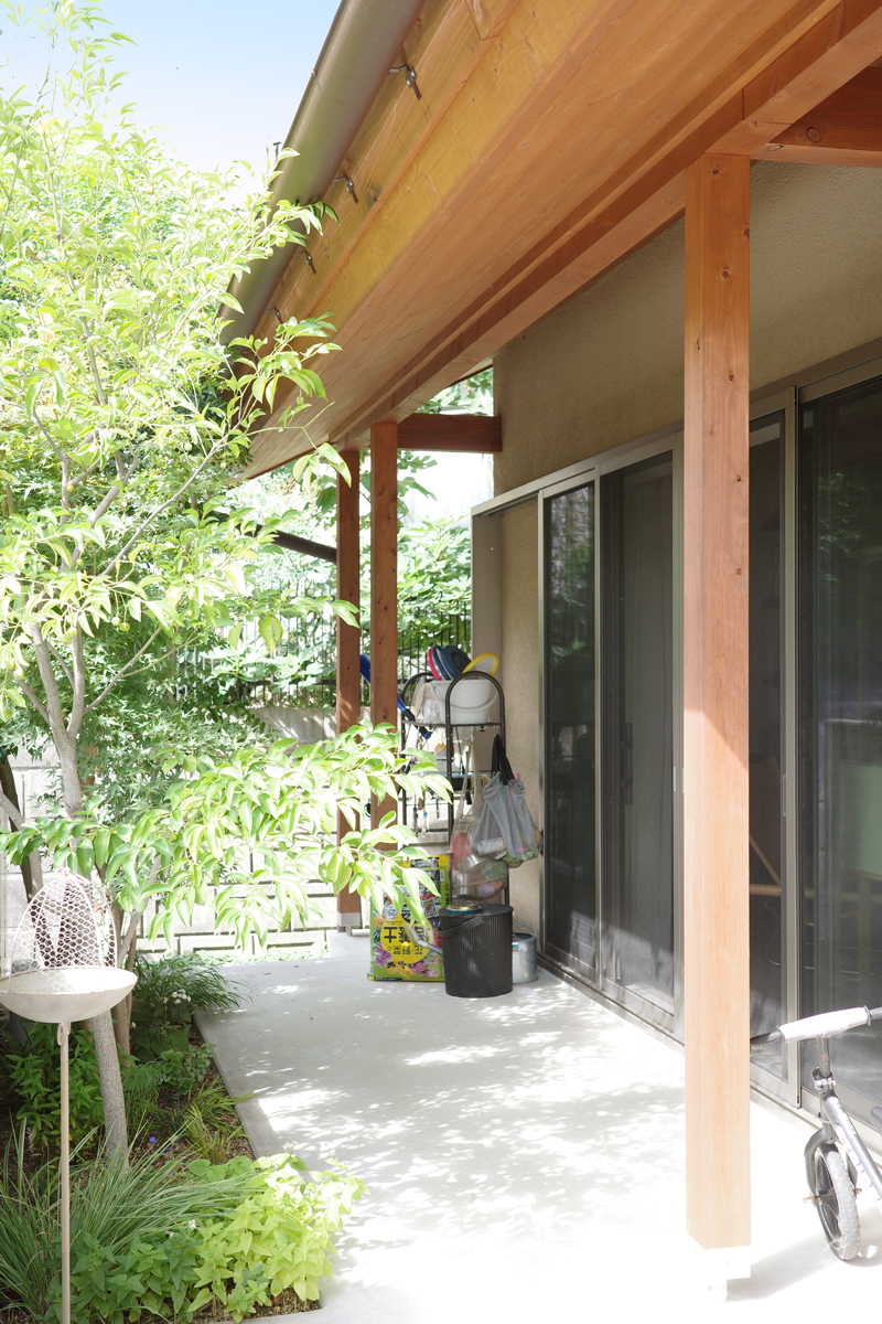 猫と暮らす家の外と繋がる大きな窓