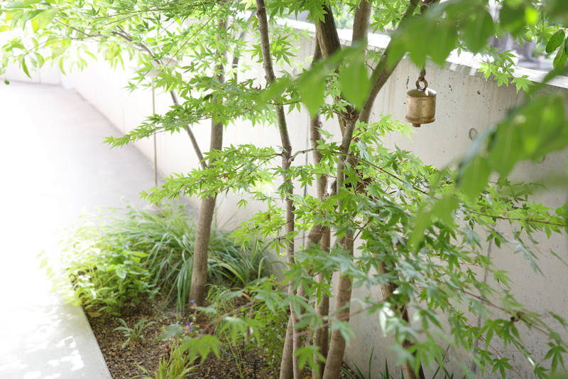 お庭で揺れる緑は猫と暮らす家でも必須です